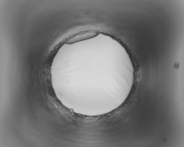 X0000112721496200910011119