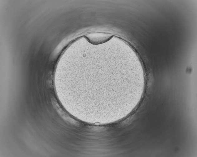 X0000112721499200910011119