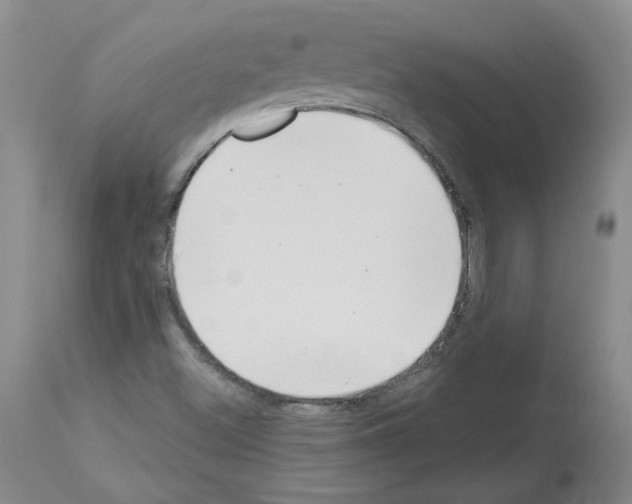 X0000112721500200910011119