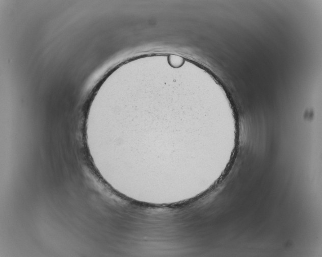 X0000112721502200910011119