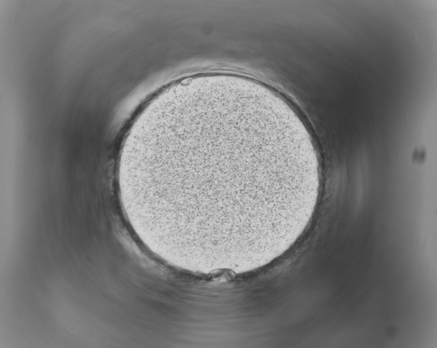 X0000112721503200910011119