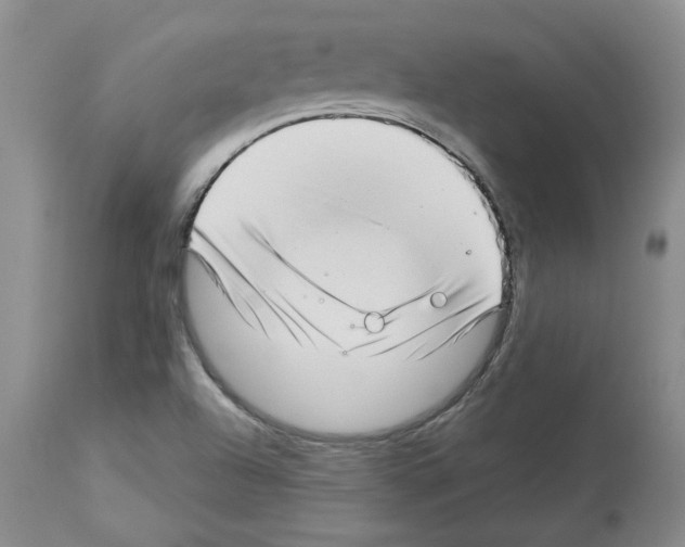 X0000112721504200910011119