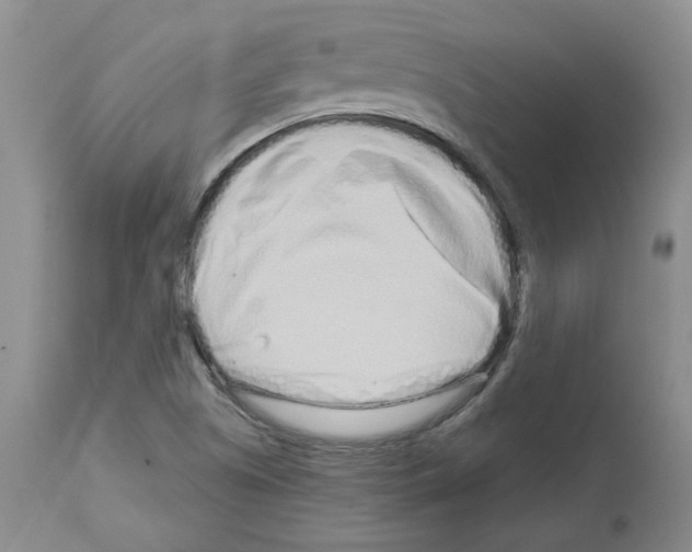 X0000112721505200910011119