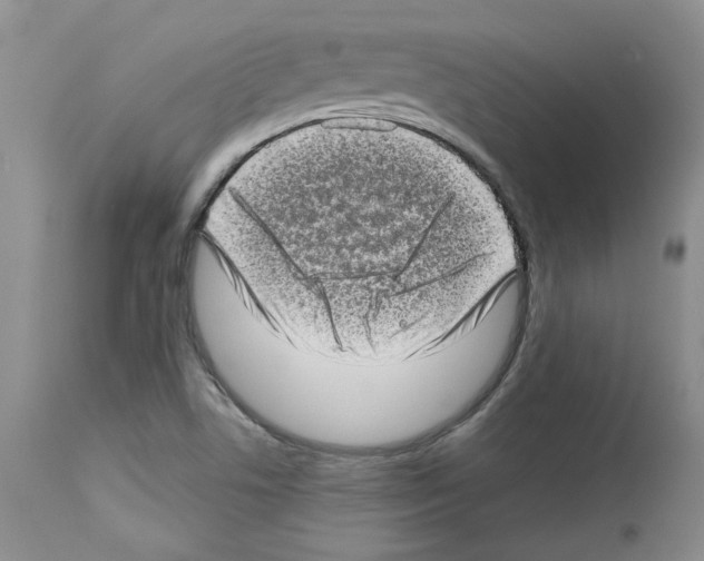 X0000112721506200910011120