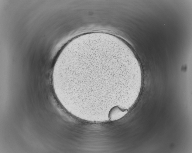 X0000112721507200910011120