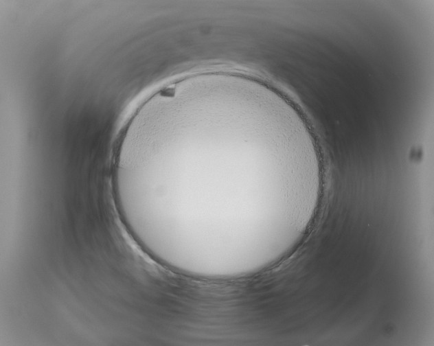 X0000112721508200910011120