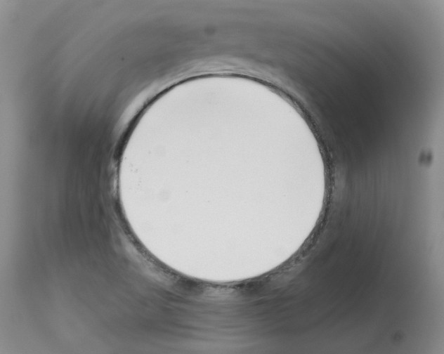 X0000112721509200910011120