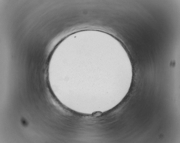 X0000112721511200910011120