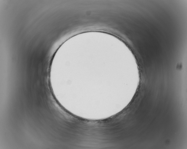 X0000112721512200910011120