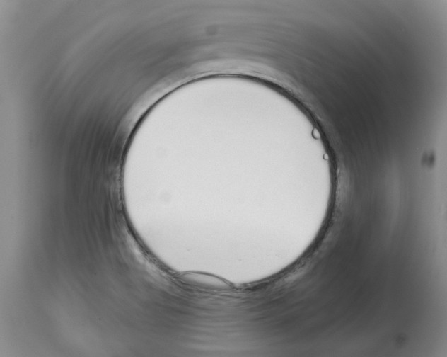 X0000112721513200910011120