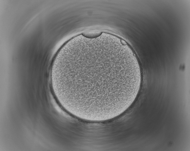 X0000112721515200910011120