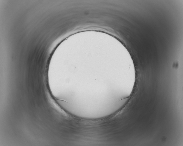 X0000112721518200910011120