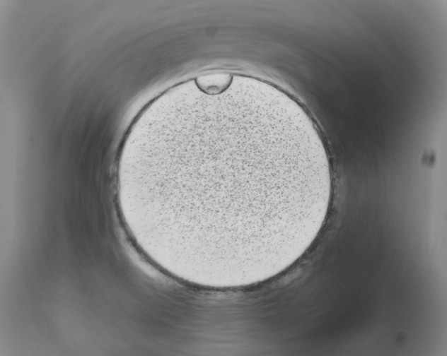 X0000112721519200910011120