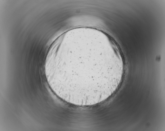 X0000112721521200910011120