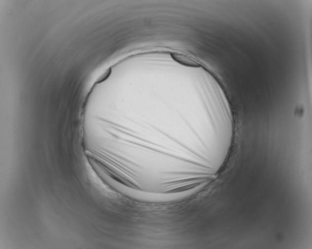 X0000112721524200910011120