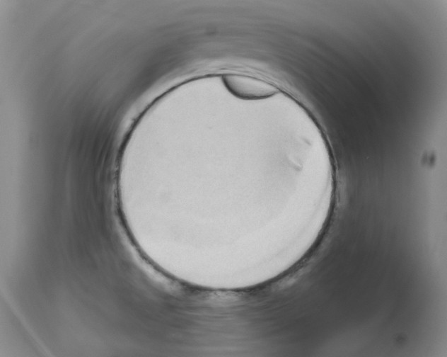 X0000112721525200910011120