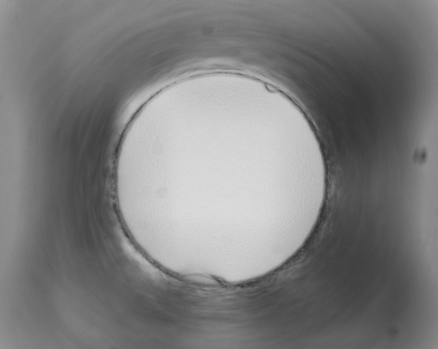 X0000112721527200910011120