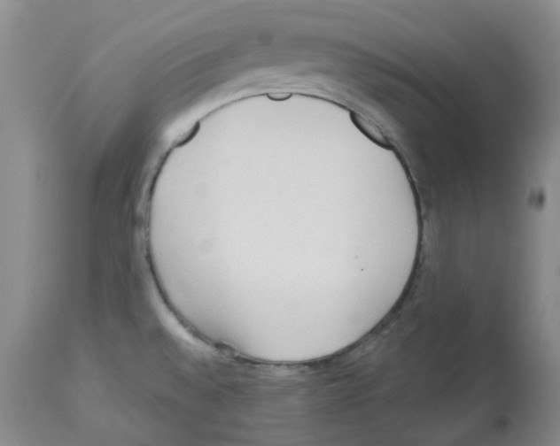 X0000112721528200910011120