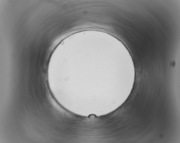 X0000112721531200910011120