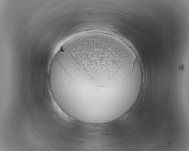 X0000112721532200910011120