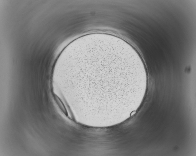 X0000112721533200910011120