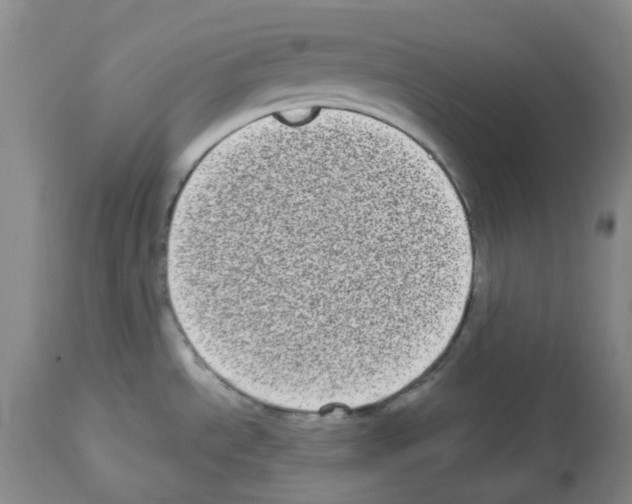 X0000112721534200910011120