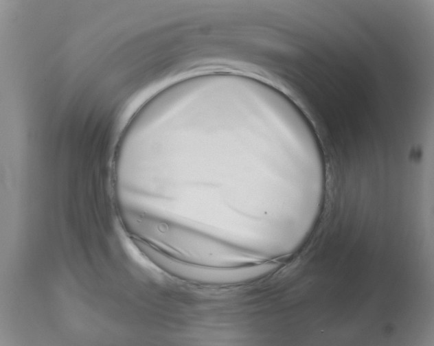 X0000112721535200910011120