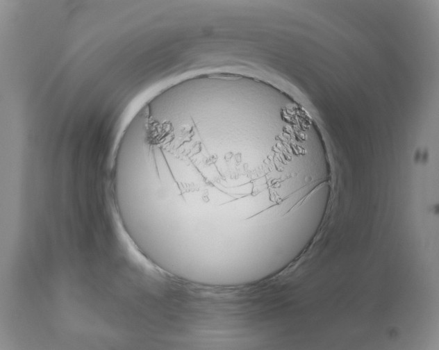 X0000112721536200910011120