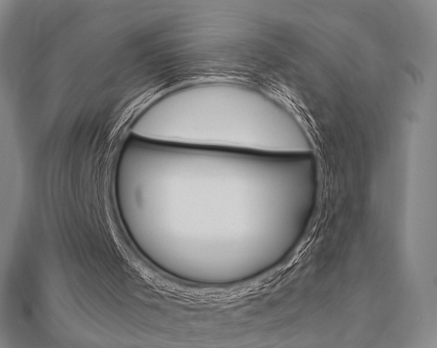 X0000112730001200908201023