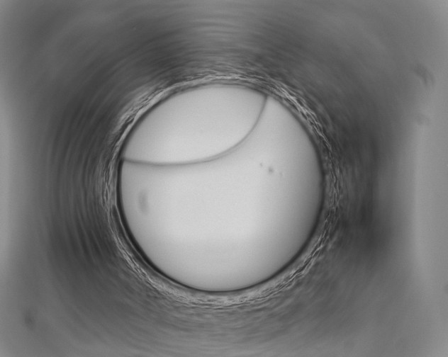 X0000112730002200908201023