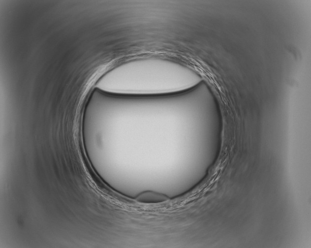 X0000112730003200908201023