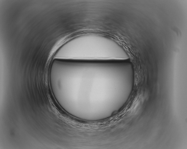 X0000112730004200908201023