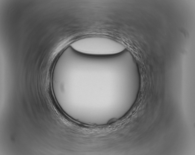 X0000112730005200908201023