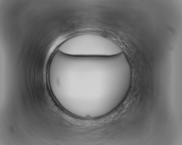 X0000112730006200908201023