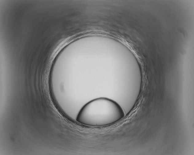 X0000112730007200908201023