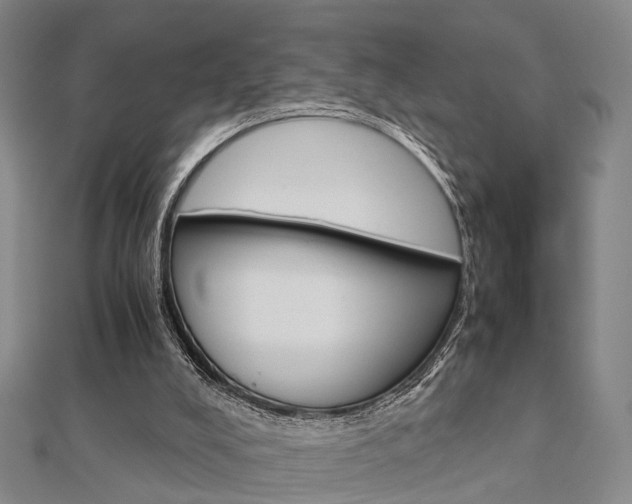 X0000112730008200908201023