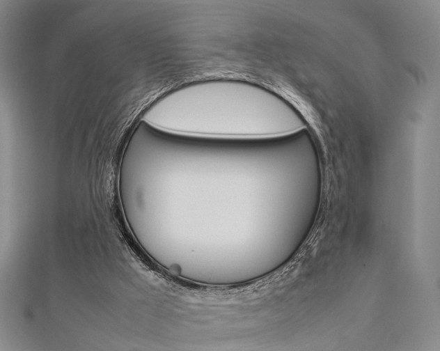 X0000112730009200908201023