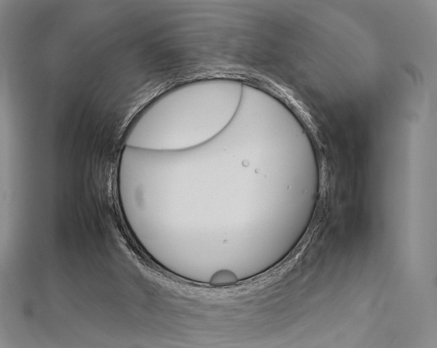 X0000112730010200908201023