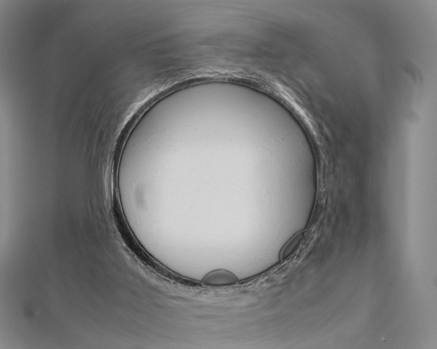 X0000112730011200908201023