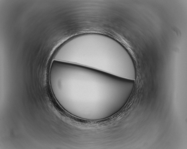 X0000112730012200908201023