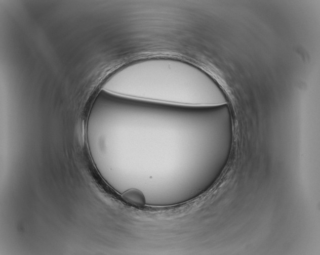 X0000112730013200908201023