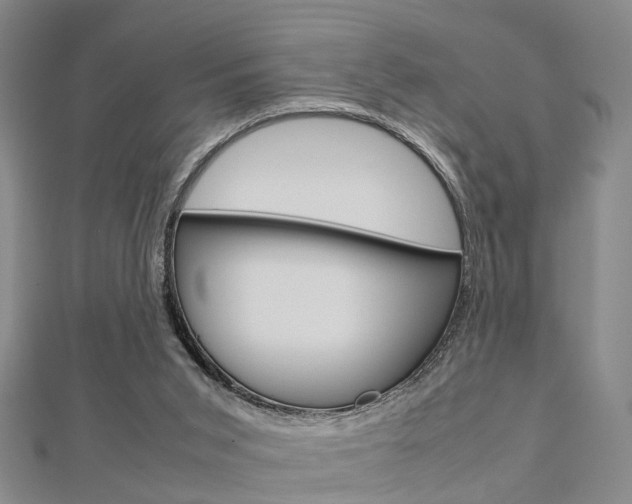 X0000112730015200908201023