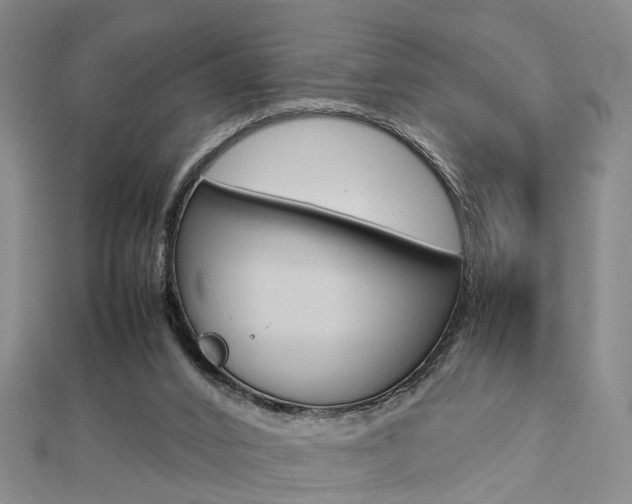 X0000112730016200908201023