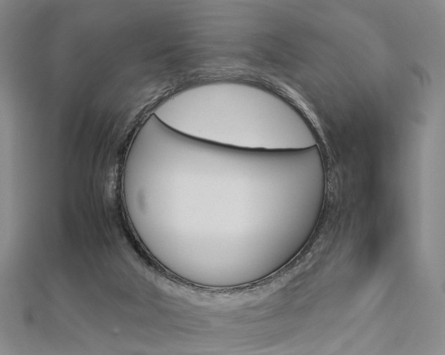 X0000112730018200908201023