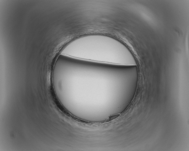 X0000112730019200908201023