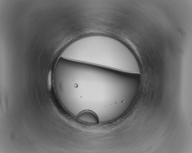 X0000112730020200908201023