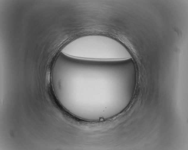 X0000112730021200908201023