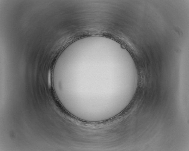 X0000112730022200908201023