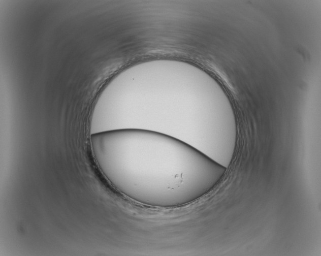 X0000112730023200908201023