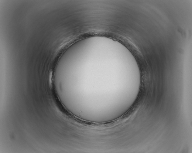 X0000112730024200908201023